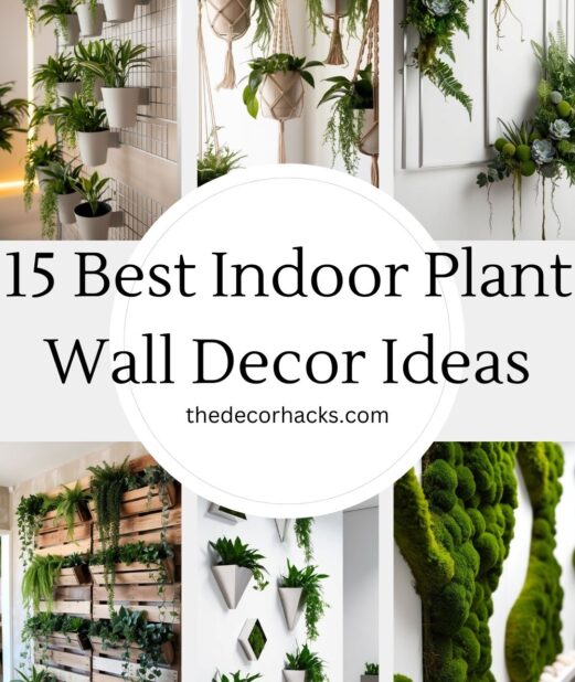 15 Best Indoor Plant Wall Decor Ideas