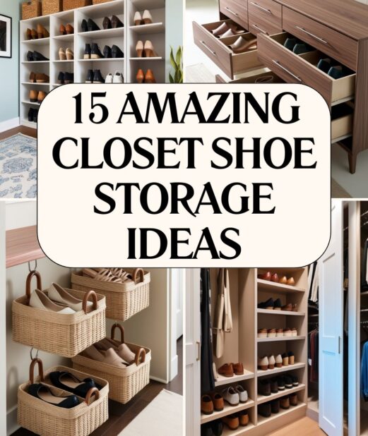 Amazing Closet Shoe Storage Ideas
