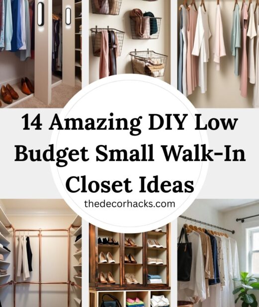 Amazing DIY Low Budget Small Walk-In Closet Ideas